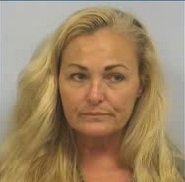 Babysitter accused of arson at children's father's home | wusa9.com