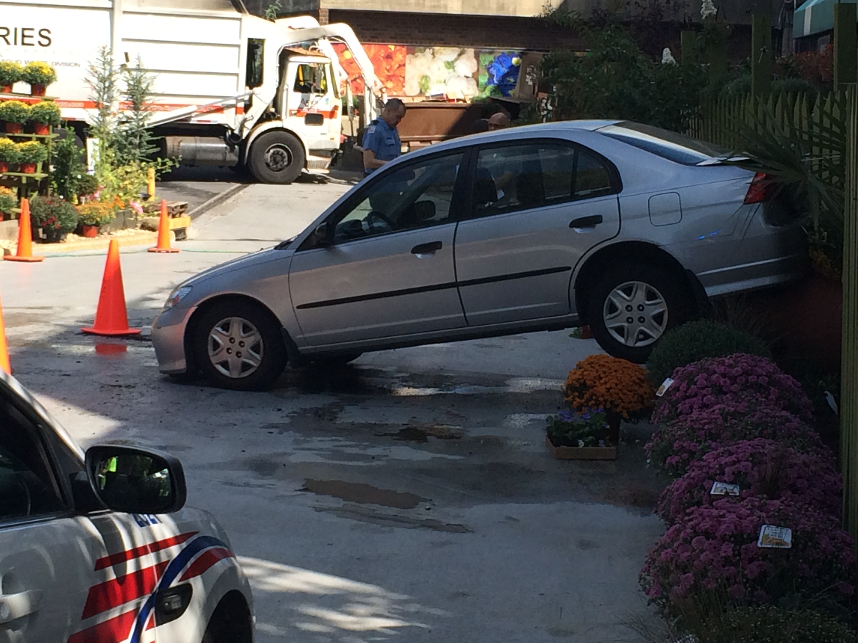 Car backs into DC flower shop