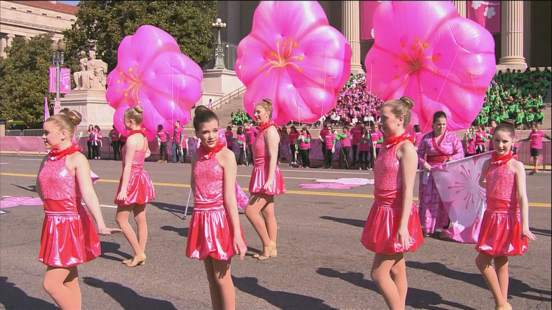 tickets-to-see-national-cherry-blossom-festival-parade-go-on-sale