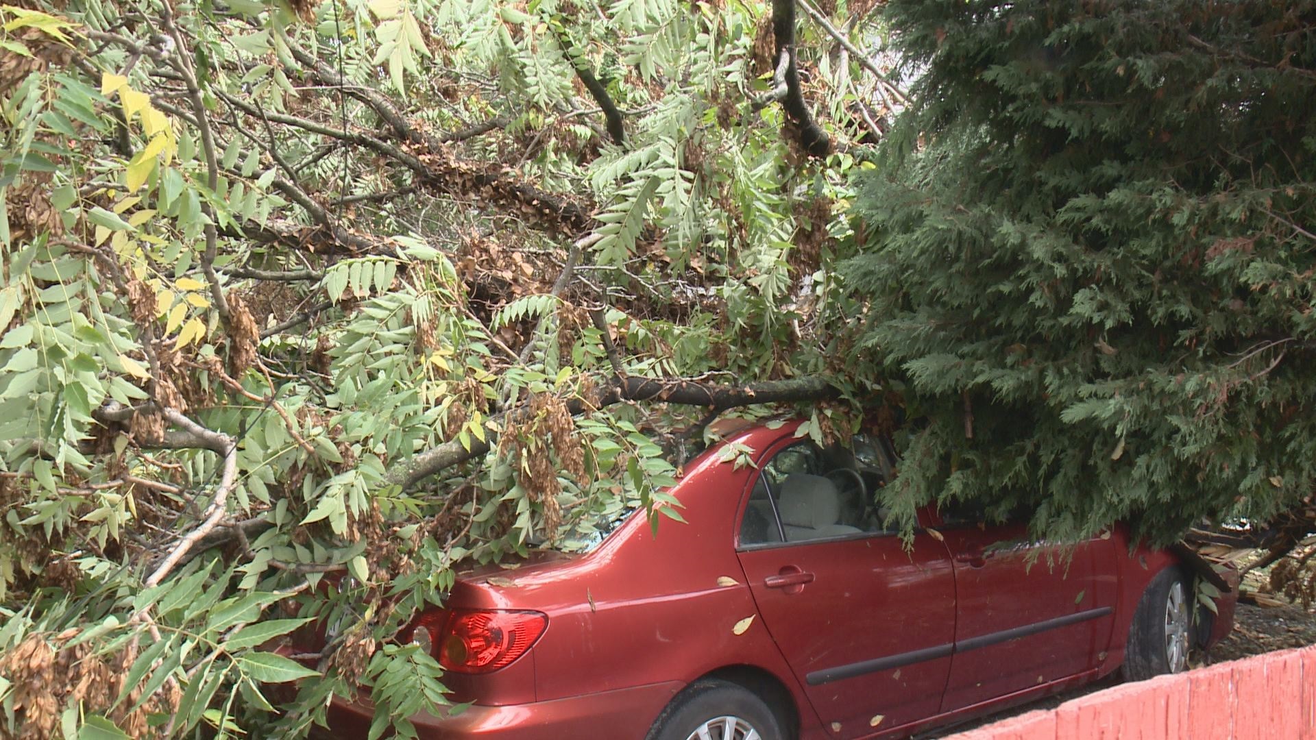 Tornado did touchdown in Laurel, NWS confirms
