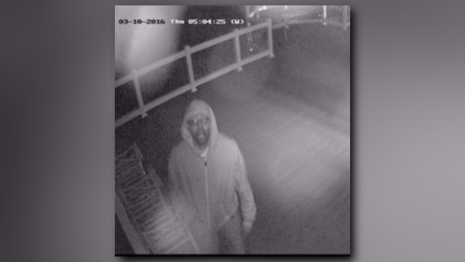 Peeping Tom Caught On Camera In Adelphi