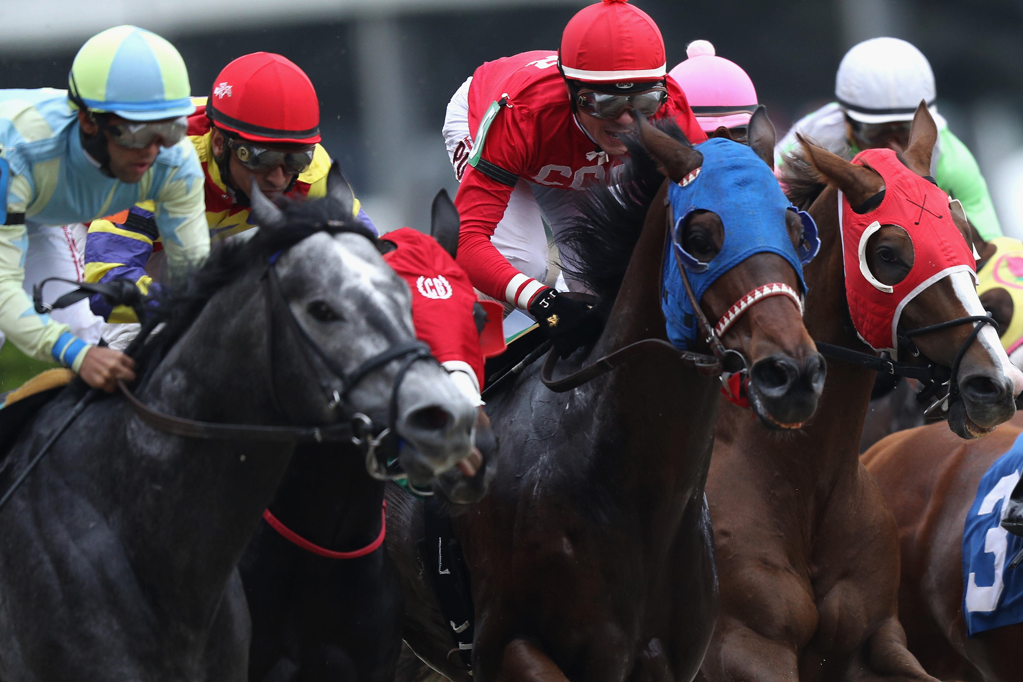 2-horses-die-in-first-4-races-on-preakness-day-undercard-wusa9