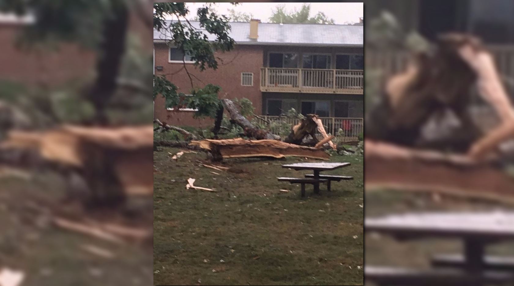 Damage after severe weather threat in the DMV | wusa9.com