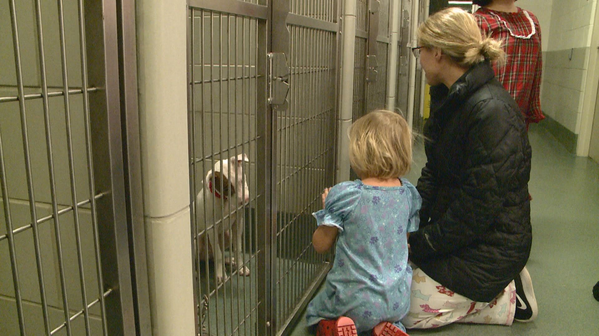 Kids read to dogs, cats at Fairfax animal shelter 
