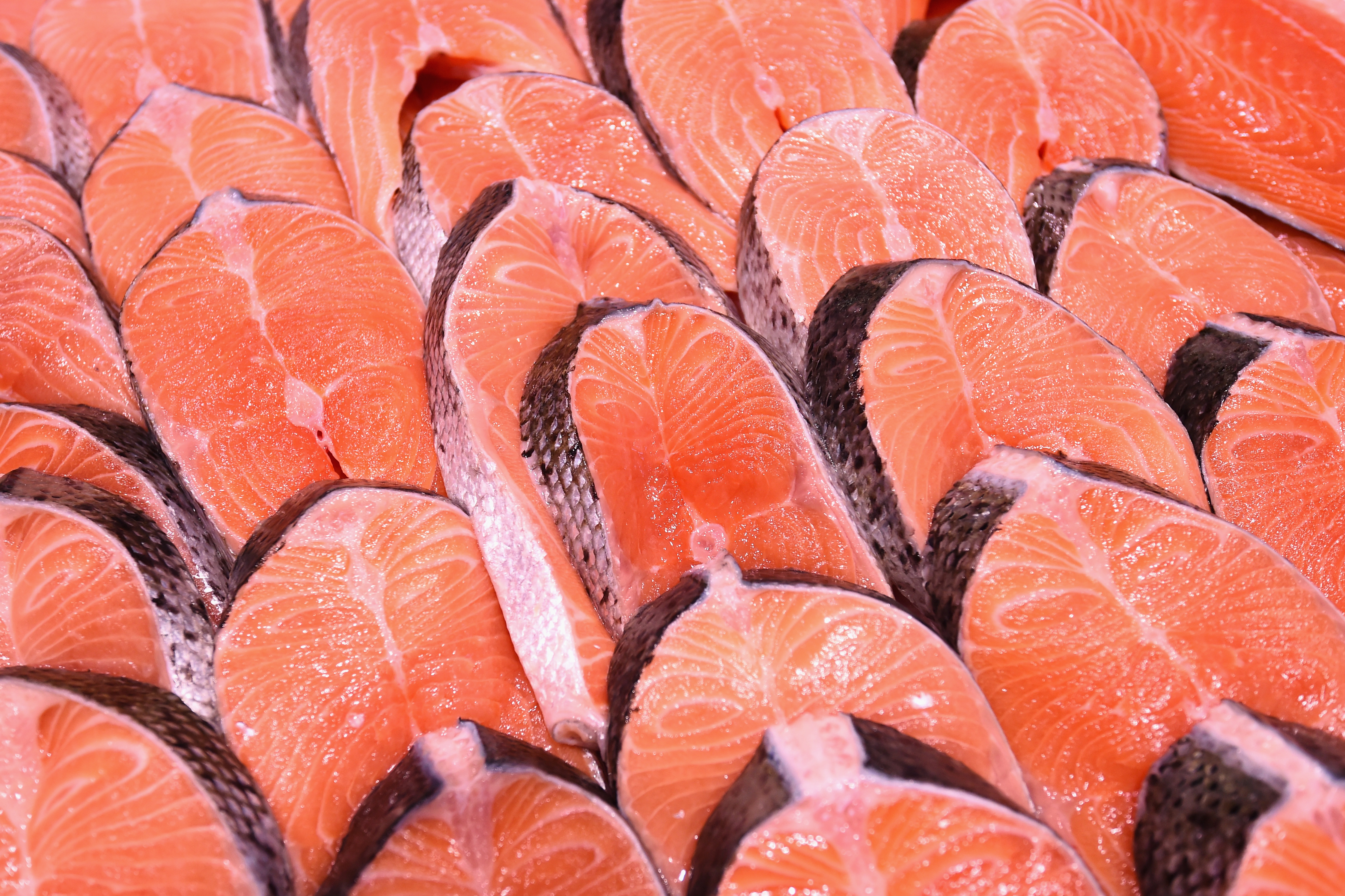 salmon-with-large-tapeworms-arrive-in-the-u-s-9news