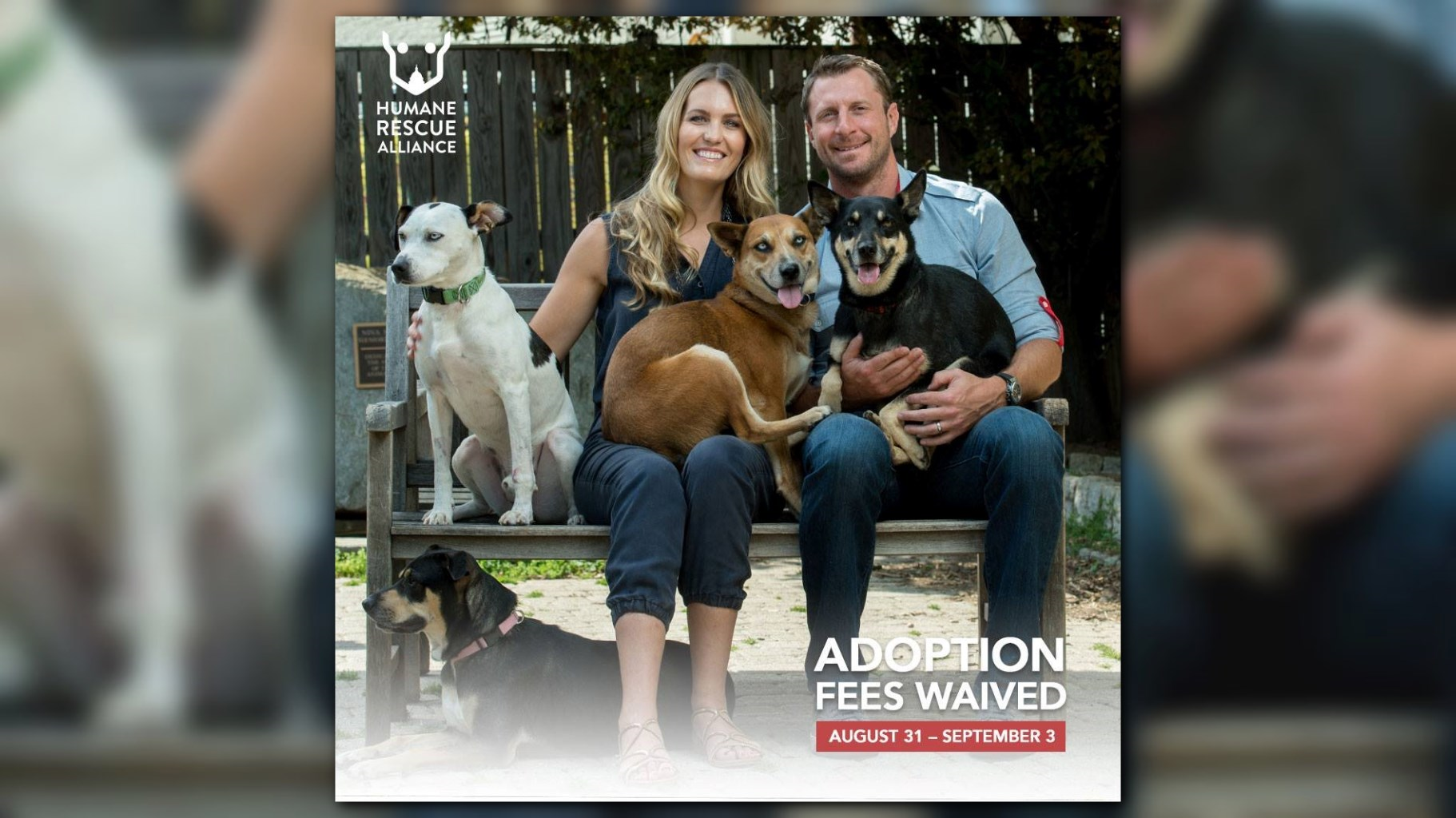 Nationals Pitcher Max Scherzer and His Wife, Erica, Will Cover Adoption  Fees at Humane Rescue Alliance This Weekend - Washingtonian