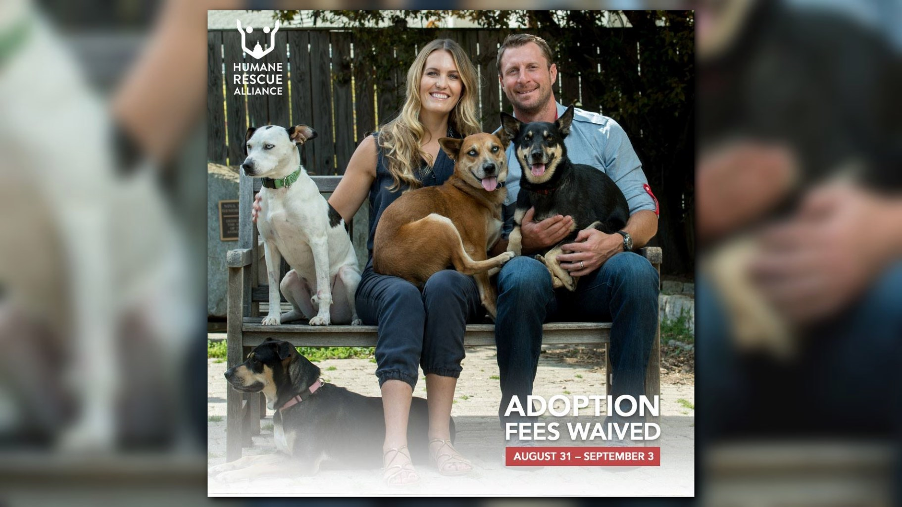 Max and Erica Scherzer Cover Adoption Fees At Humane Rescue Alliance