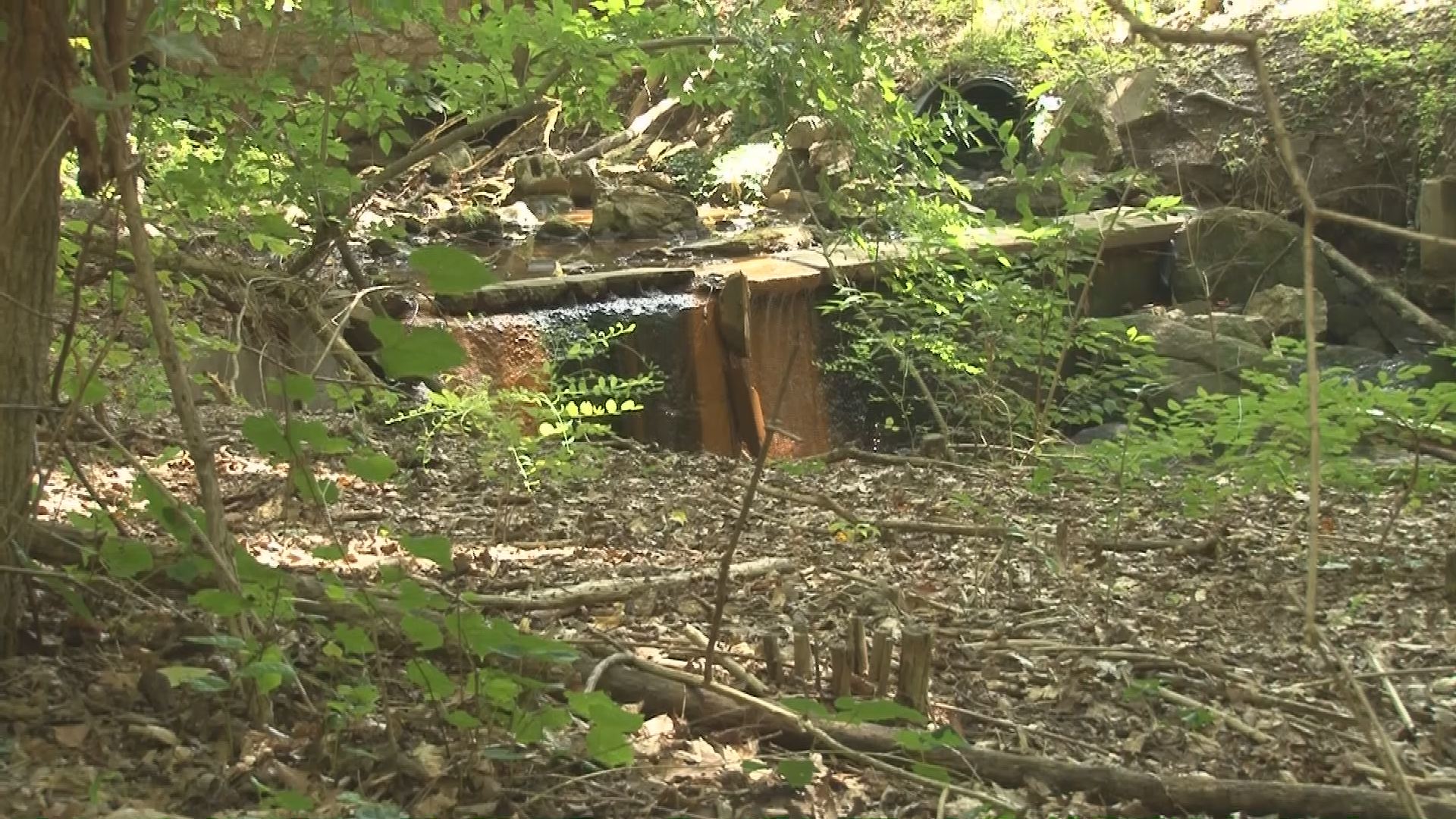 Spring Time Author Debate over keeping polluted Silver Spring trail open | wusa9.com