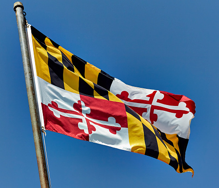 10 new Maryland laws you should know | wusa9.com